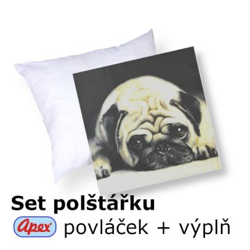 3D povláček na polštářek Apex - Mops - set Polštářek s výplní + Povláček