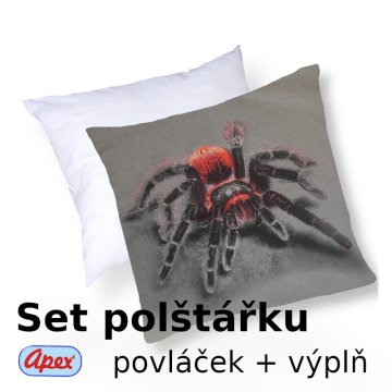 3D povláček na polštářek Apex - Pavouk - set Polštářek s výplní + Povláček